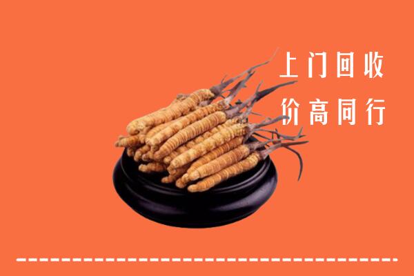 高价求购：张家口尚义回收散虫草