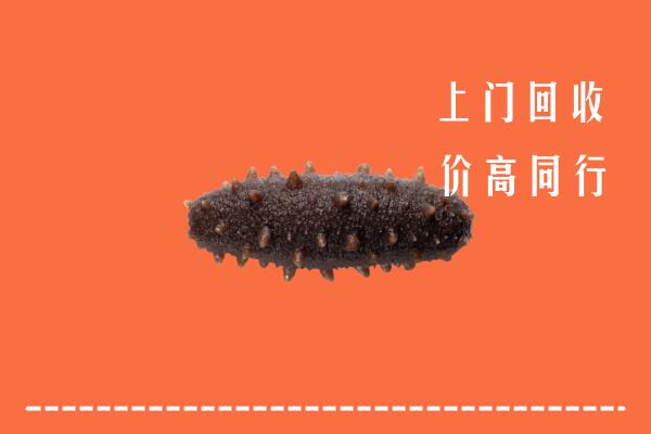 高价求购：张家口尚义回收海参
