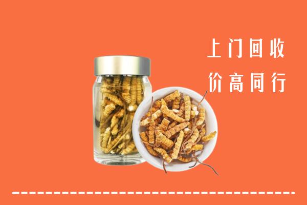 收购行情：张家口尚义回收冬虫夏草